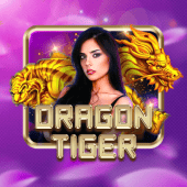 Dragon Tiger Airopay live casino
